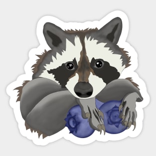 Raccoon with blueberries Sticker